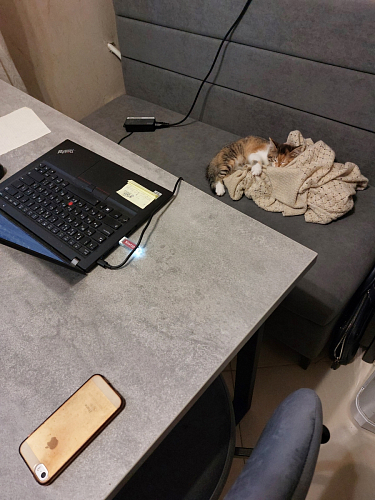 Деревянный стол Лота Лофт 140х80 дуб крафт табачный / черный матовый фото покупателя 751