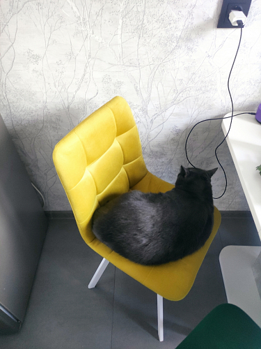 Стул на металлокаркасе Чилли черный / зеленый фото покупателя 1362