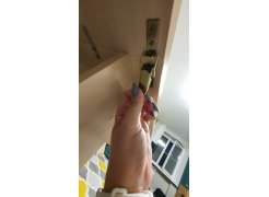 Стол-книжка СтК7 дуб сонома фото покупателя 141