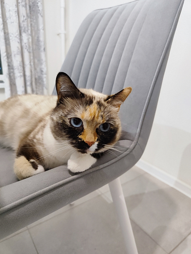  фото покупателя 115