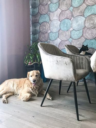 Стул на металлокаркасе Slam dark beige фото покупателя 2