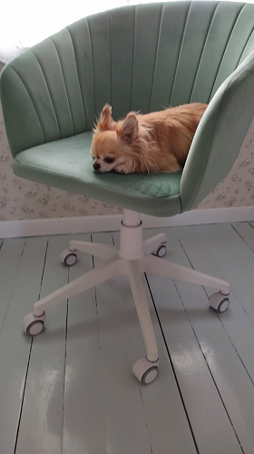 Компьютерное кресло Тибо 01 светло-коричневый / черный фото покупателя 55