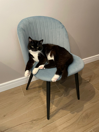 Стул на металлокаркасе Gabi dark beige / black / silver фото покупателя 325