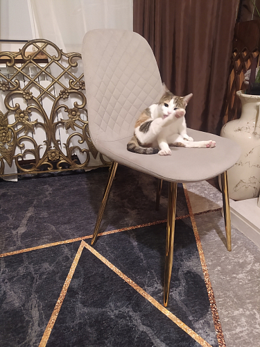 Стул на металлокаркасе Dabl wine red фото покупателя 79