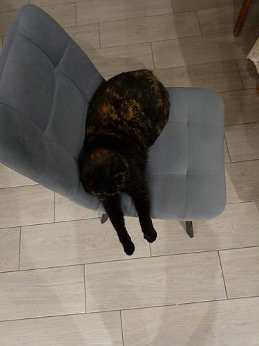 Стул на металлокаркасе Чилли К черный / зеленый фото покупателя 528