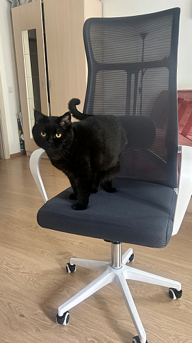 Компьютерное кресло Tilda pink / white фото покупателя 8