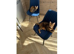 Стул на металлокаркасе Вейв темно-серый / черный фото покупателя 55