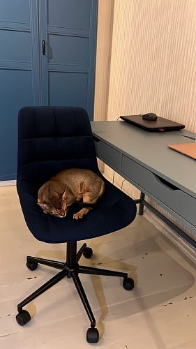 Компьютерное кресло Честер зеленый / черный фото покупателя 14