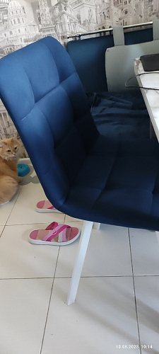 Стул на металлокаркасе Чилли К светло-серый велюр / черный каркас фото покупателя 101