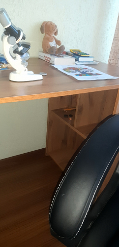 Письменный стол Фред Лофт черный матовый / дуб делано темный фото покупателя 1