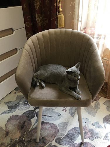 Кресло Корсо крутящееся фиолетовое Velutto 25 / черное фото покупателя 8