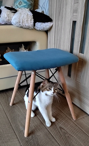 Табурет Ben Multicolor фото покупателя 1