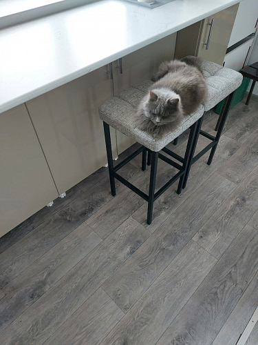 Барный стул Лофт линкольн белый / белый матовый фото покупателя 243