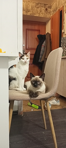 Стул Lilu бежевый фото покупателя 1