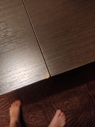 Стол-книжка Мечта дуб сонома  - Уцененный экземпляр фото покупателя 225