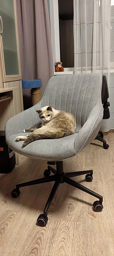 Компьютерное кресло Dublin/Дублин хром / вельвет серый фото покупателя 19