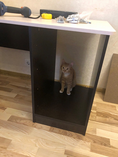 Стол письменный СП4 венге фото покупателя 11