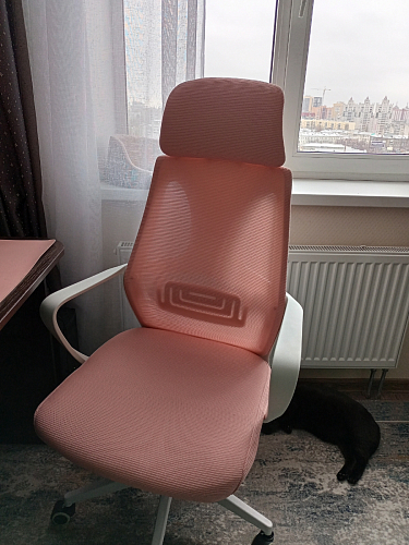 Компьютерное кресло Golem black / white фото покупателя 66