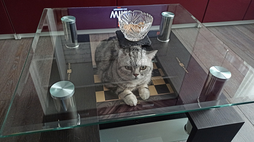 Журнальный столик CT1-052 wenge фото покупателя 1