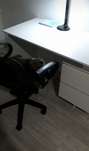 Письменный стол СПМ-19 Белый фото покупателя 3