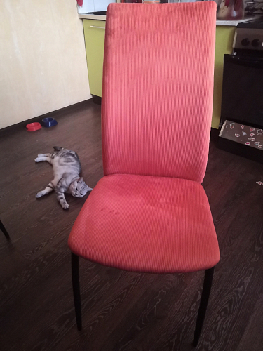 Стул на металлокаркасе Tod light purple / grey / black фото покупателя 38