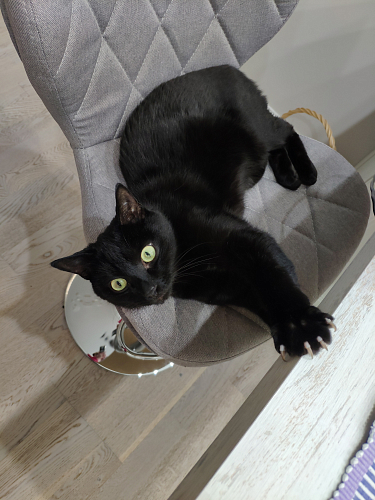 Барный стул Porch grey fabric фото покупателя 2