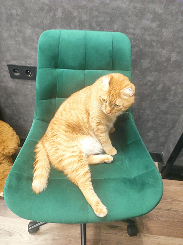 Компьютерное кресло Честер латте / черный фото покупателя 57