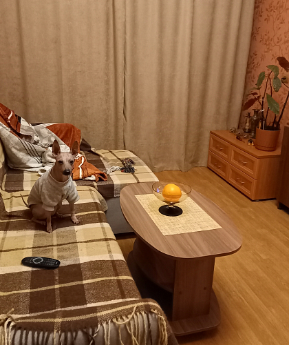 Журнальный столик Лидер дуб сонома фото покупателя 1