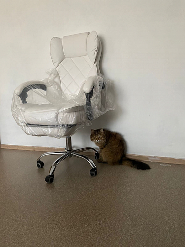 Компьютерное кресло Kolson сream фото покупателя 22