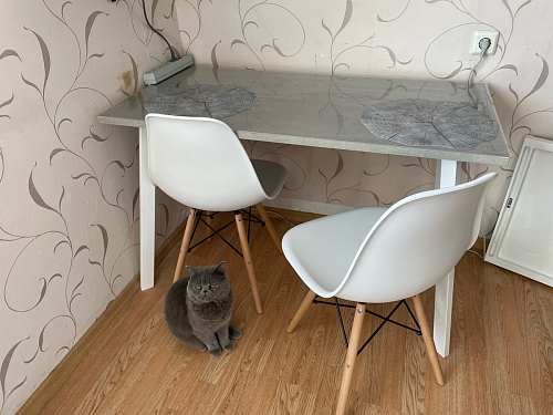 Стол Тринити Лофт 140 25 мм дуб делано темный / белый фото покупателя 150