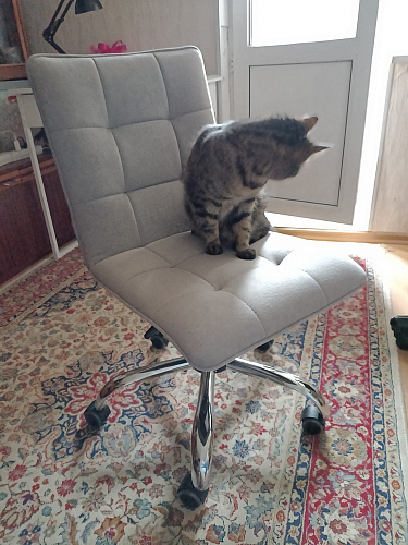 Офисное кресло Zero белый фото покупателя 226