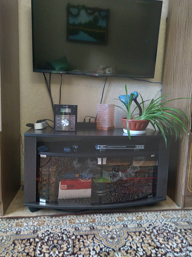 ТВ-тумба Мини 2 венге фото покупателя 4