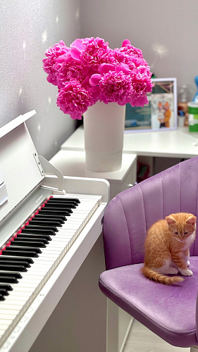 Компьютерное кресло Тибо светло-коричневый / белый фото покупателя 162