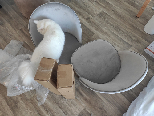 Стул Dodo темно-бежевый фото покупателя 43