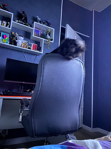 Компьютерное кресло Tron white фото покупателя 63