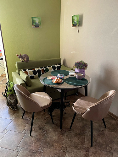 Стул на металлокаркасе Dodo blue фото покупателя 1