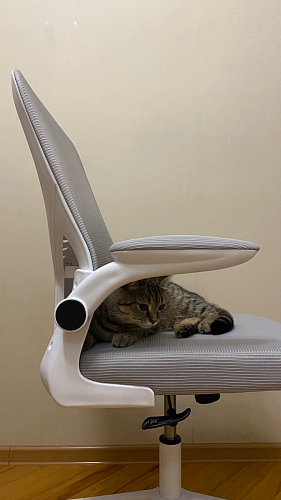 Компьютерное кресло Konfi gray / blue / white фото покупателя 235