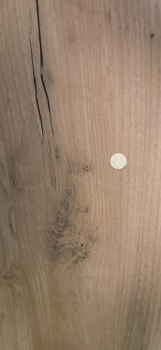 Письменный стол Лайт 03.243 дуб золотой (craft) / белый премиум фото покупателя 74