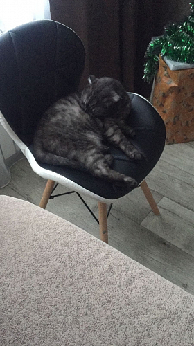 Деревянный стул PC-027 black / white фото покупателя 5