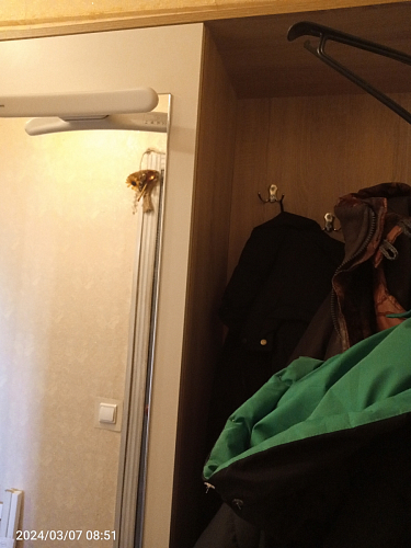 Готовая прихожая Пети дуб сонома / белый фото покупателя 11