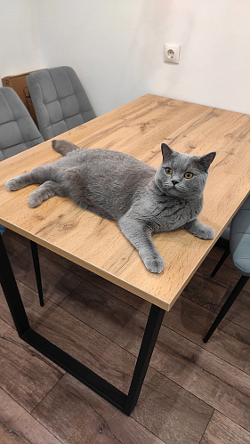 Деревянный стол Лота Лофт 120х75 белый матовый / дуб крафт золотой фото покупателя 1024