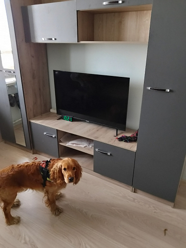 Готовая гостиная Бертелена дуб крафт серый / серый графит фото покупателя 77