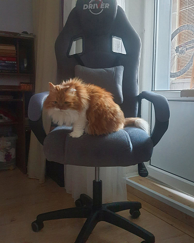 Компьютерное кресло Driver/Драйвер кожзам черный / ткань синий фото покупателя 23