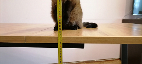 Стол Лота Лофт 120 25 мм дуб делано темный / черный матовый фото покупателя 327