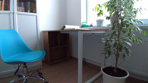 Письменный стол Битти Лофт 116х60х75 дуб вотан / белый матовый фото покупателя 43