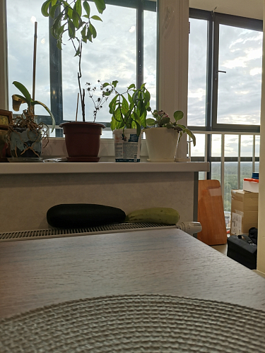 Деревянный стол Лота Лофт 140х80 дуб крафт табачный / черный матовый фото покупателя 859