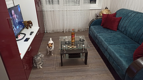 Журнальный столик ST-052 wenge фото покупателя 71