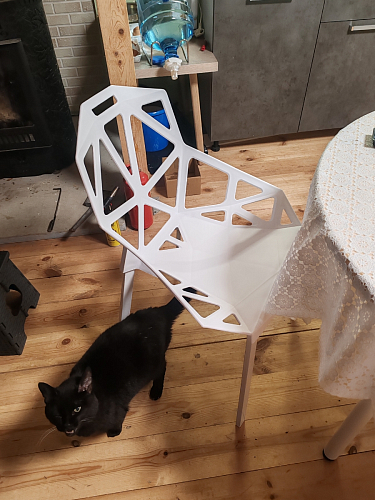 Стул One PC-015 белый фото покупателя 87