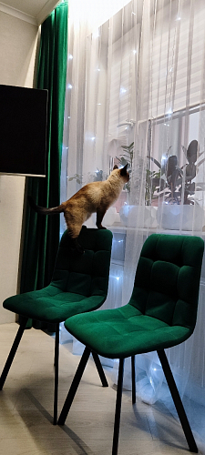 Стул на металлокаркасе Чилли К кирпичный / черный фото покупателя 413