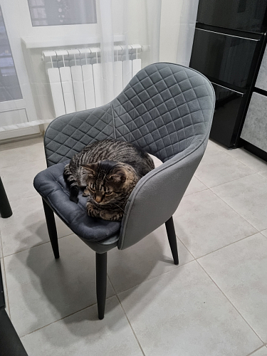 Стул на металлокаркасе Vener dark gray фото покупателя 2